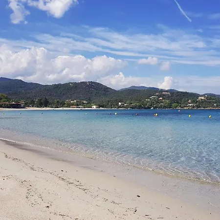 Marina Di Pinarello In Marine De Pinarello - Kor02015-eyf Zonza